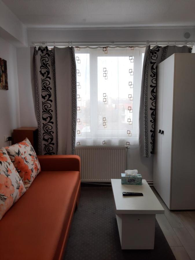 Arti Studio Lägenhet Braşov Exteriör bild